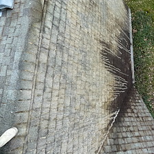 Moss-Removal-Roof-Wash-in-Pullman 0